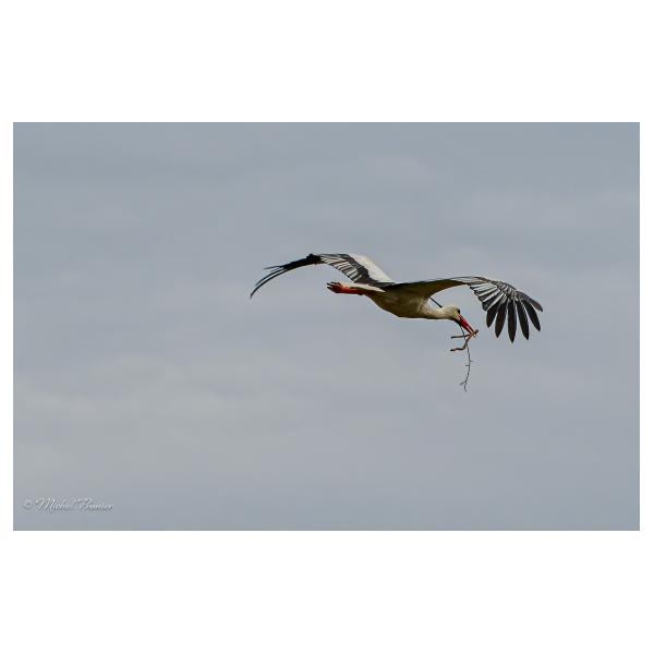 PHOTO84, CLUB, 84 , LUBERON